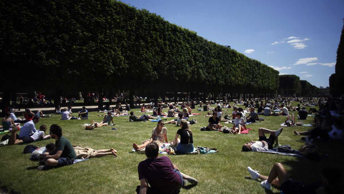 Immagine di L'albero morto dell'onda verde francese