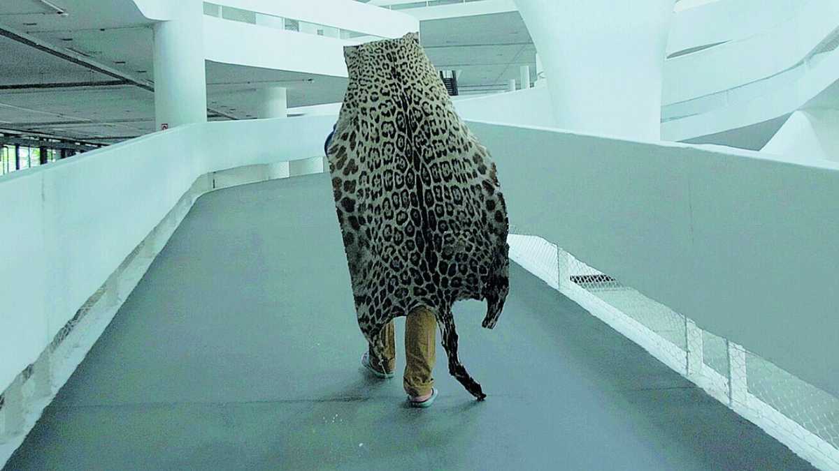Immagine di Uomo bianco, va' a Berlino