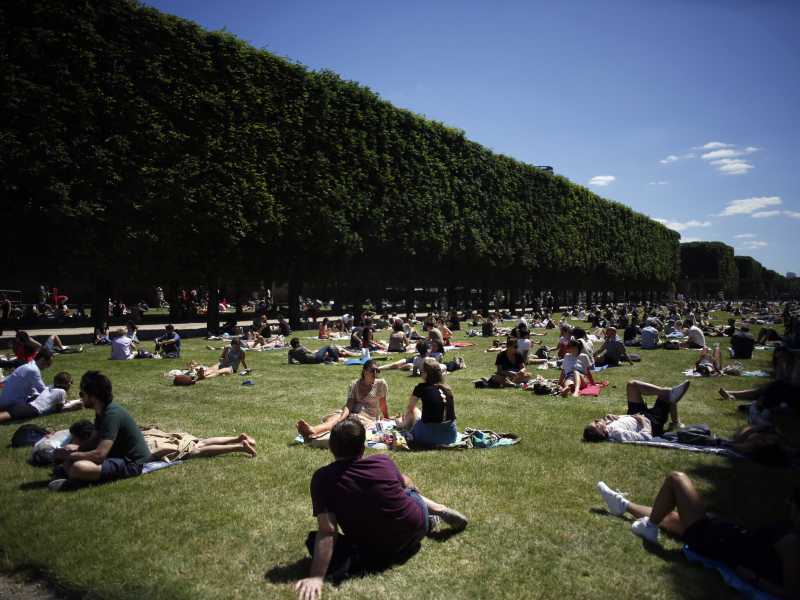 L'albero morto dell'onda verde francese