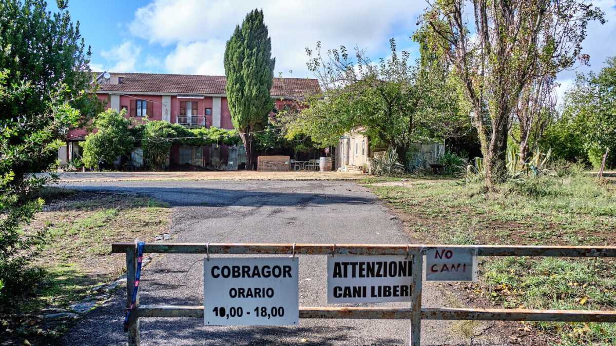 Immagine di Agrituristi della democrazia