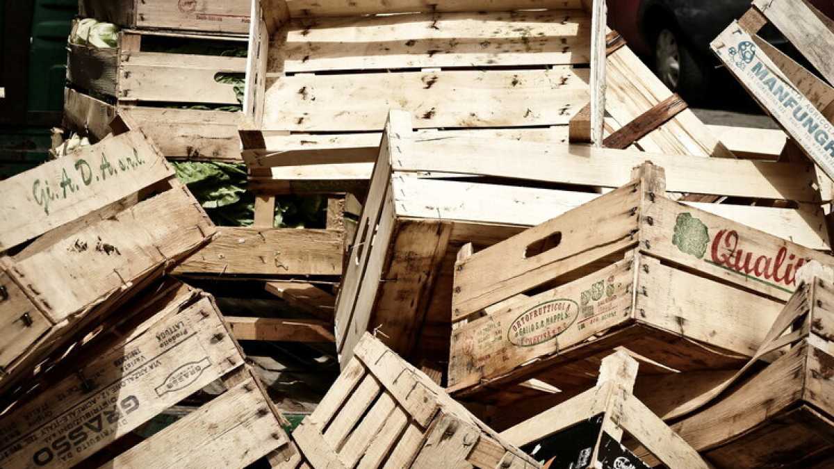Immagine di Buone pratiche. Arriva il secondo hub contro lo spreco alimentare