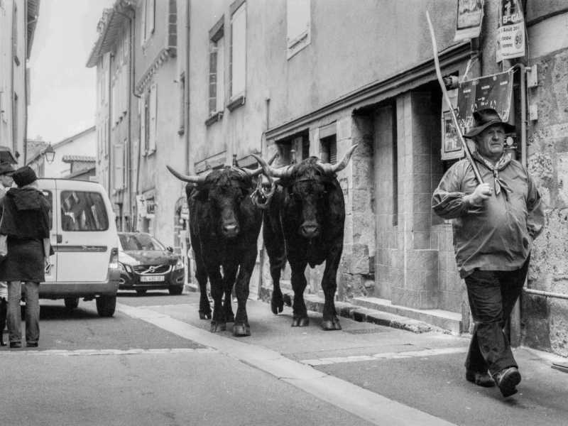 Contro l’ermo colle