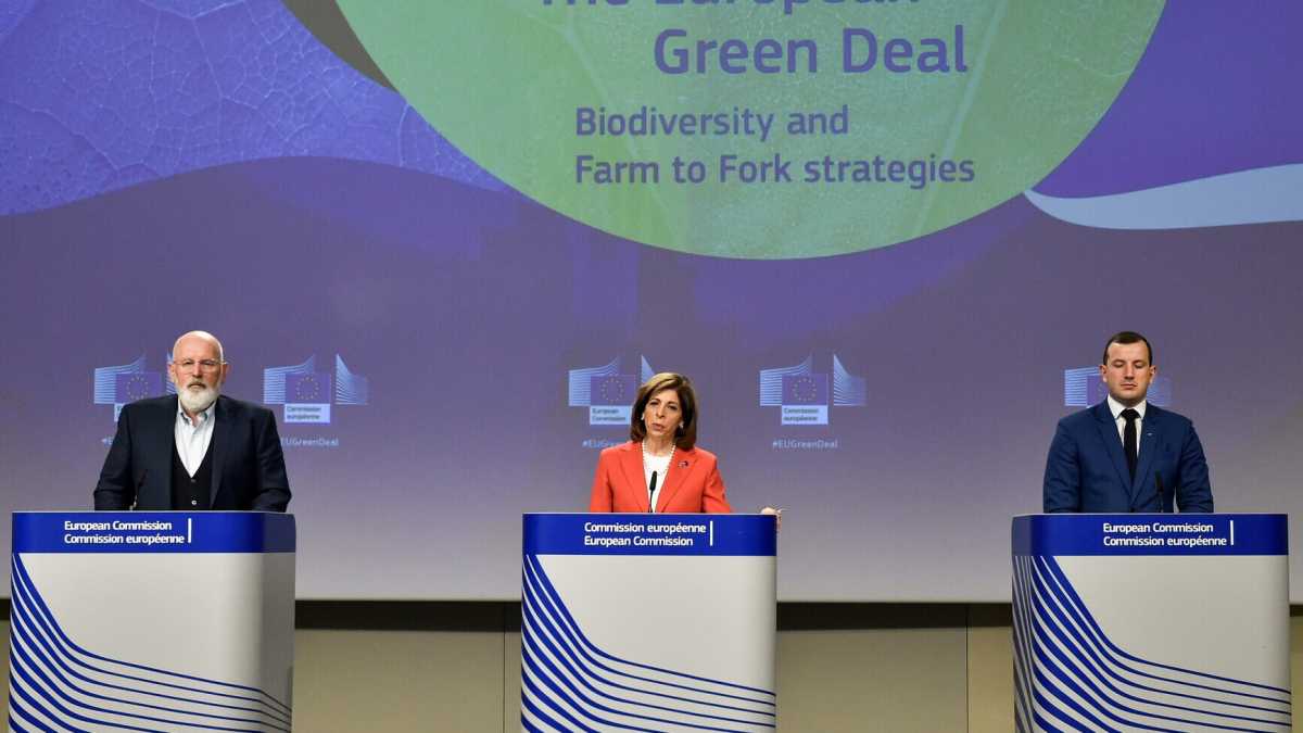 Immagine di La commissaria Ue Marija Gabriel ci spiega le sfide del Green Deal europeo