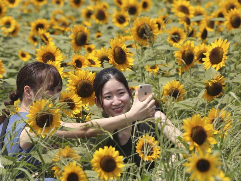 AP Photo/Koji Sasahara&nbsp;<br />