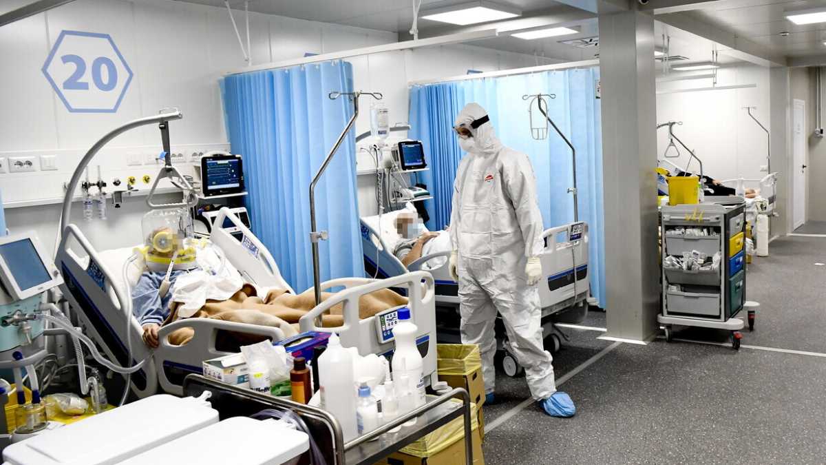Immagine di Per il concorso di Medicina serve il solito Tar del Lazio