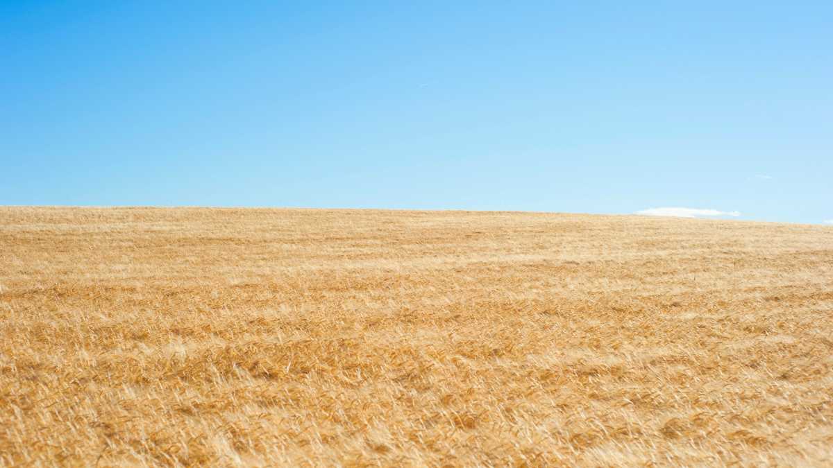 Immagine di Quant’è difficile in quest’epoca non innalzare l’utilità a paradigma supremo