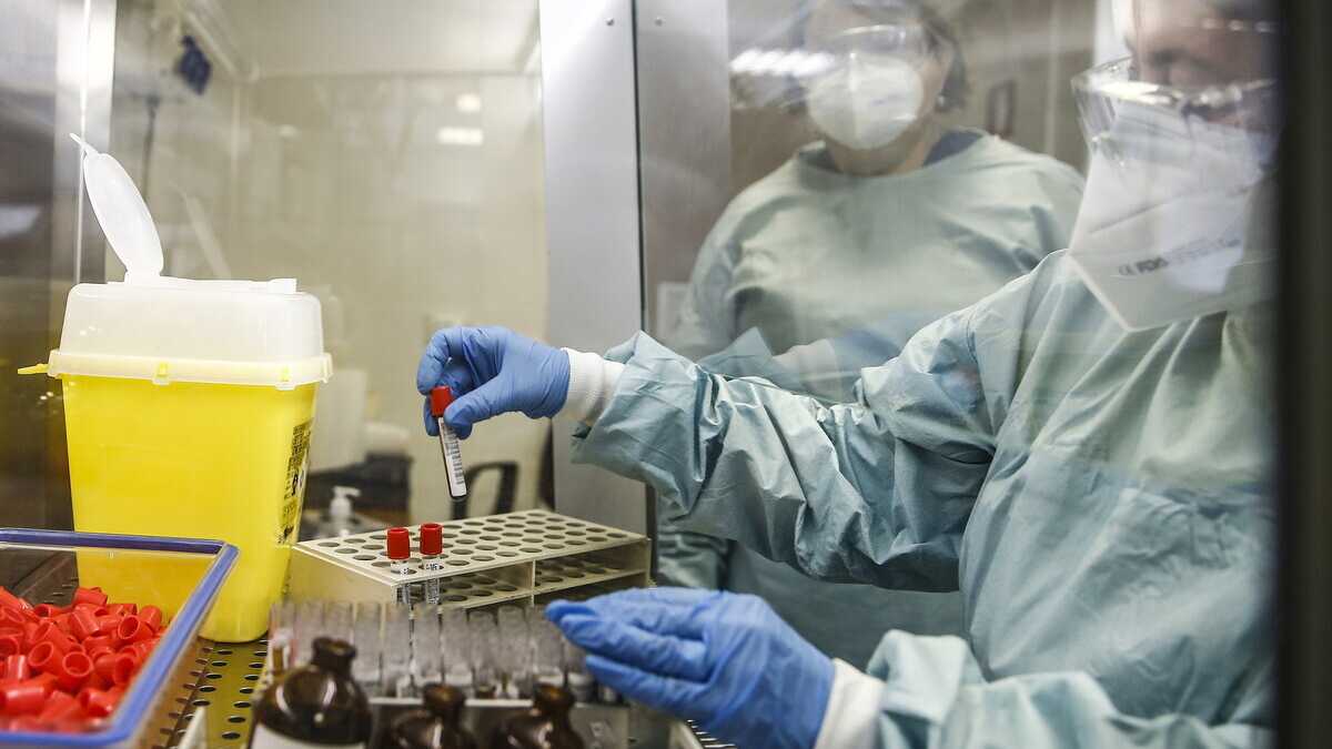 Immagine di Dal virus ci salveranno gli scienziati da laboratorio (non quelli da tv)