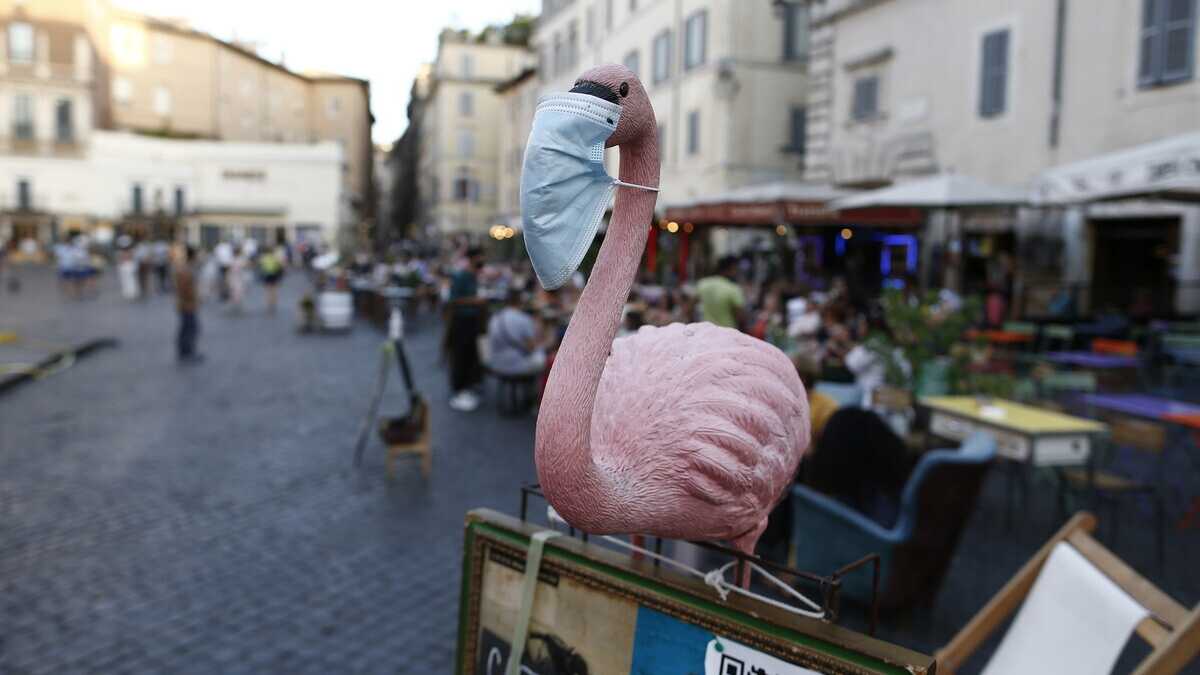 Immagine di Amletismi vipparoli