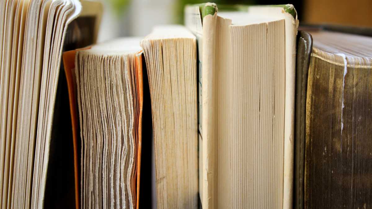Immagine di Cronaca e romanzo, due libri da non perdere