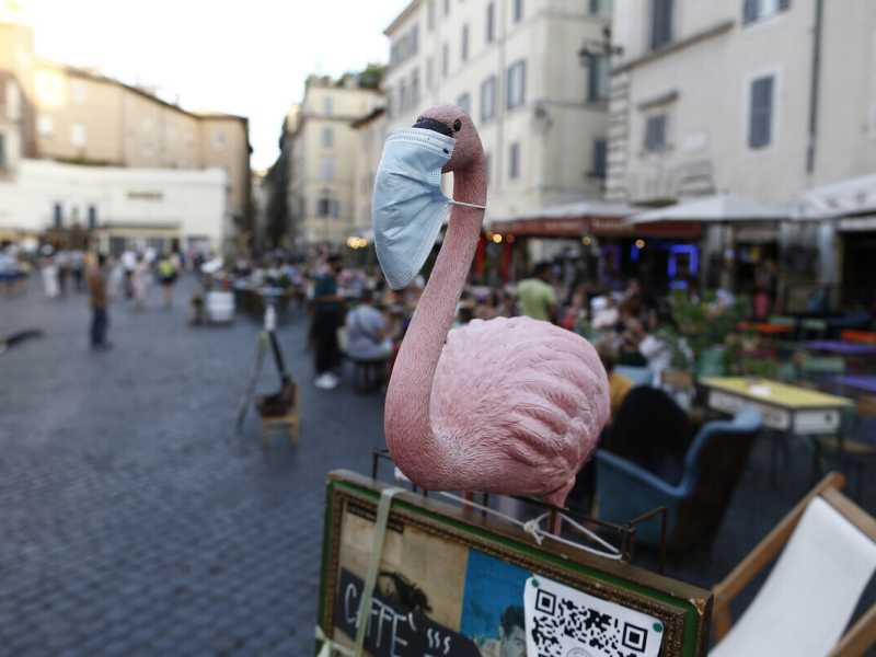 Amletismi vipparoli