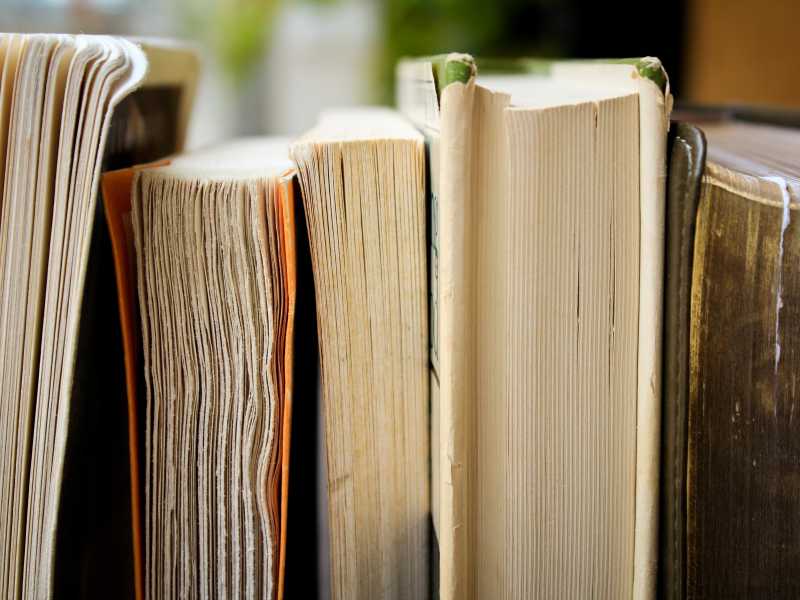Cronaca e romanzo, due libri da non perdere