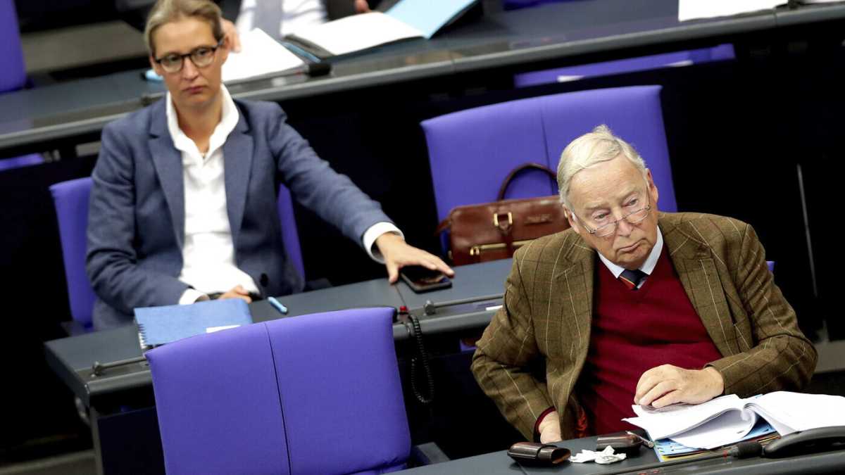 Immagine di La frattura americana dell’AfD