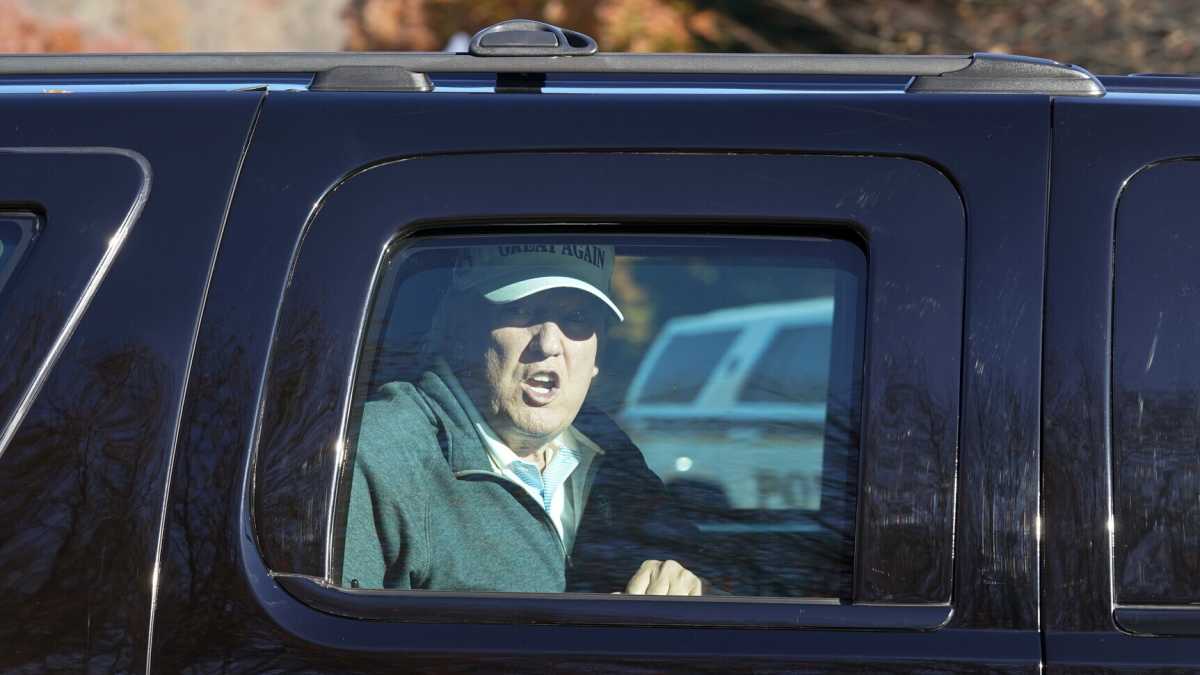 Immagine di L'ultimo capriccio del piccolo Donald