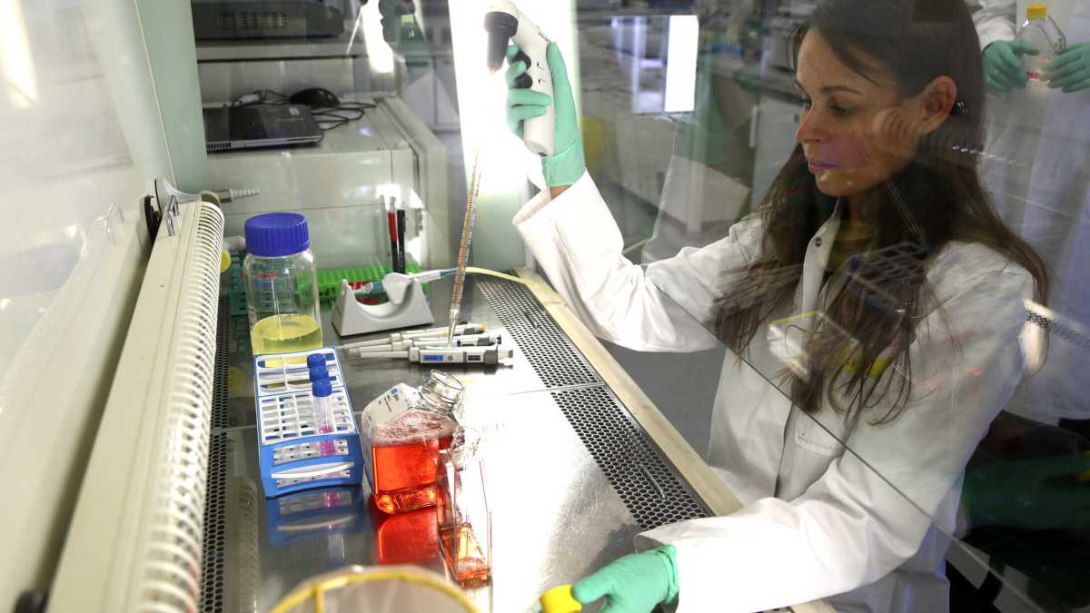 Immagine di Virologia, la peggior forma di governo dei virus eccetto tutte le altre