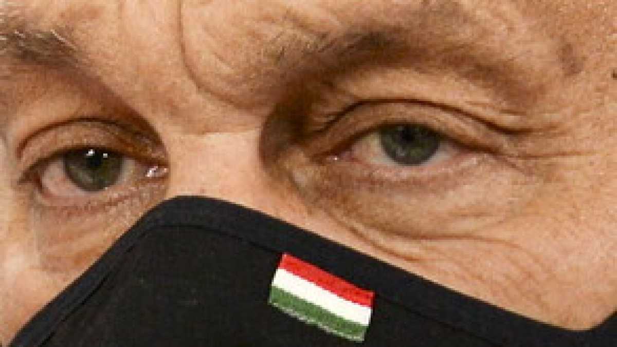 Immagine di L'illiberalismo costa
