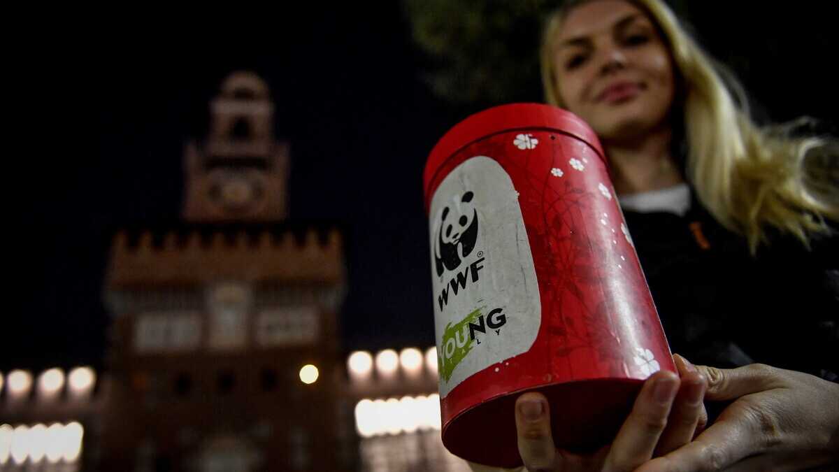 Immagine di Il WWF dovrebbe cambiare animale da salvare: l'uomo
