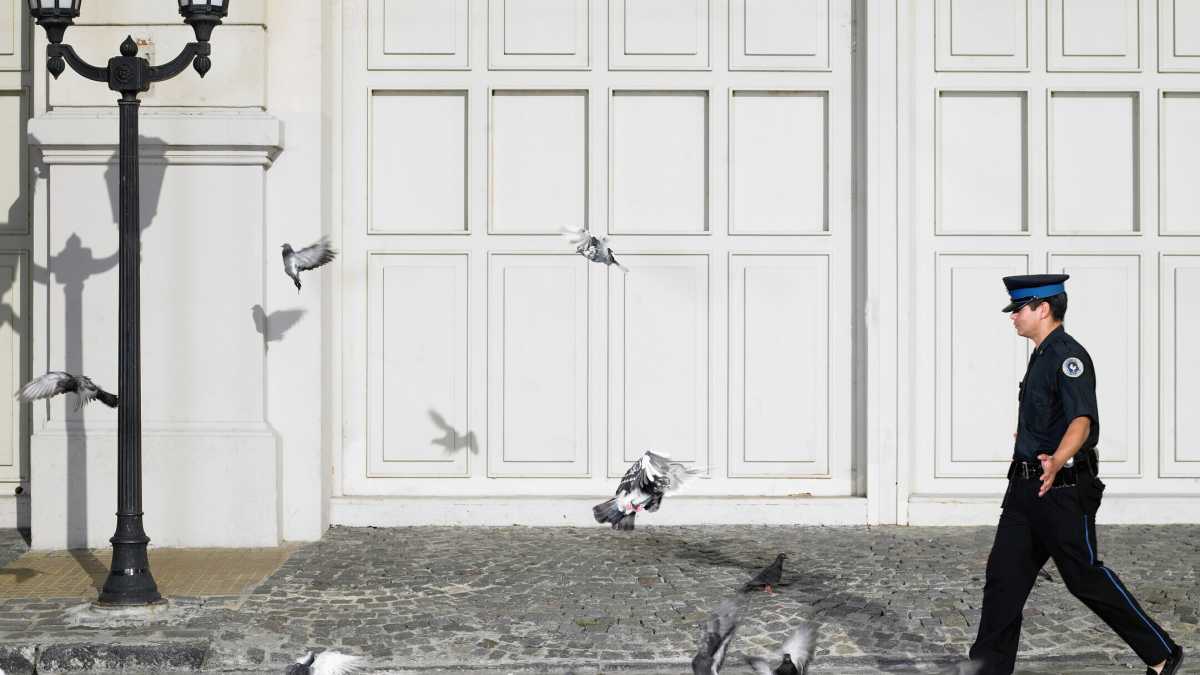 Immagine di Due piccioni con un vaccino