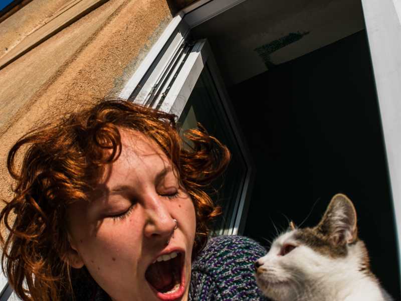 Mai più senza i miei gatti, nemmeno se fossero contagiosi. È peggio la solitudine