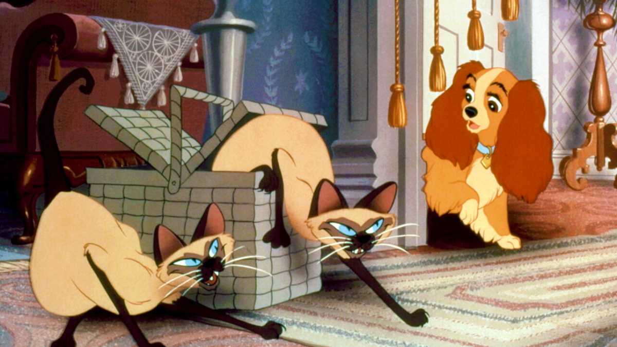 Immagine di Cartoni pericolosi