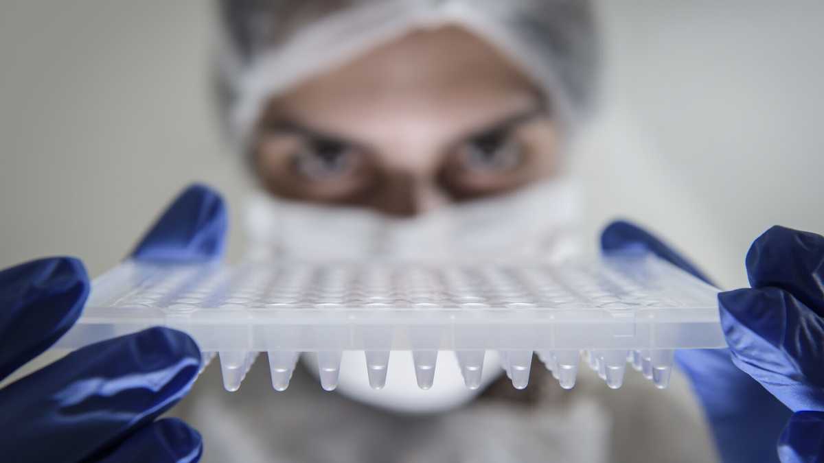 Immagine di Nel grande spettacolo della scienza una buona ragione per l’ottimismo