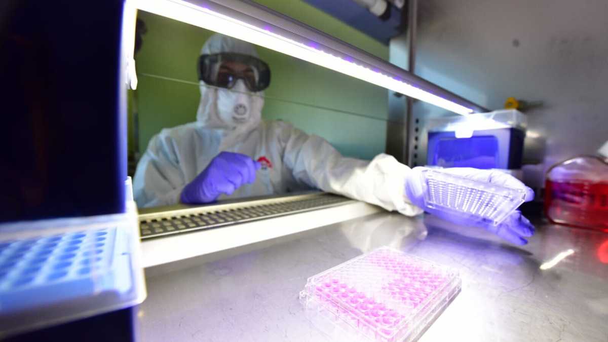 Immagine di La ricerca scientifica in miseria