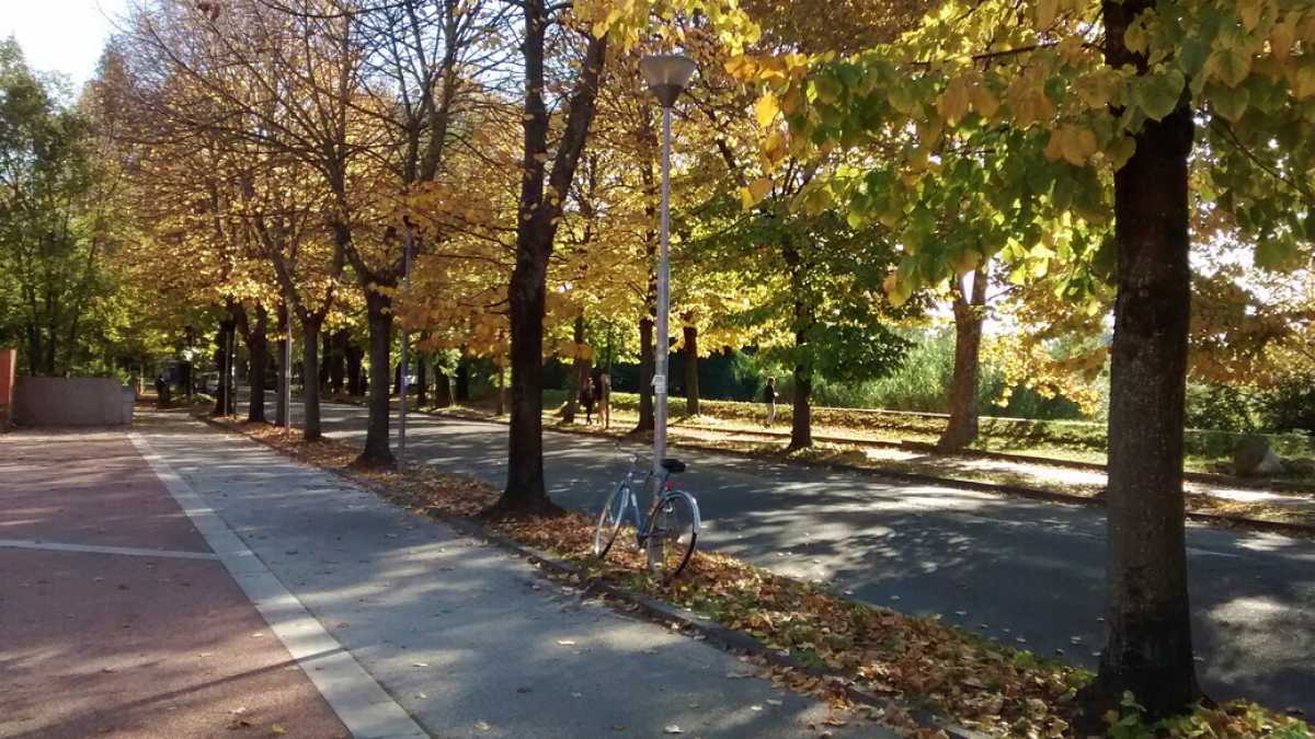 Immagine di Ci si vede dal Salvini