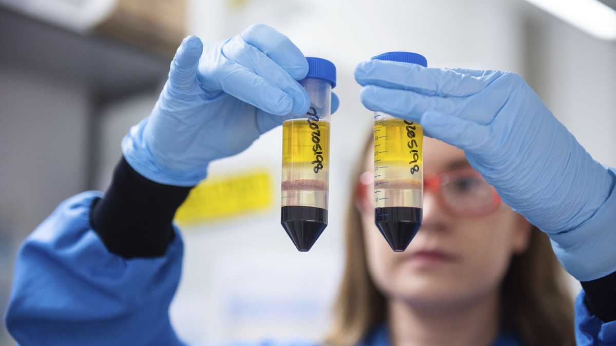 Immagine di Sarà un’agenzia a dirci se i vaccini funzionano e sono sicuri