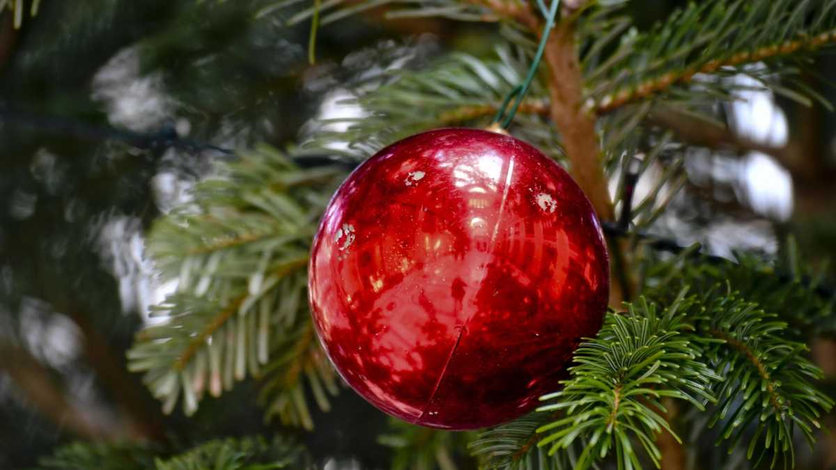 Immagine di Dimezzate le vendite di alberi e stelle di Natale. Urge un "decreto fiorai"