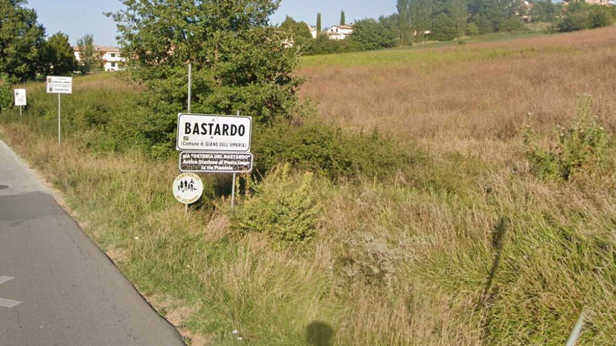 Immagine di Bastardi con molta gloria