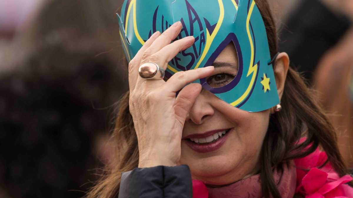 Immagine di Boldrini contro la libertà di stampa