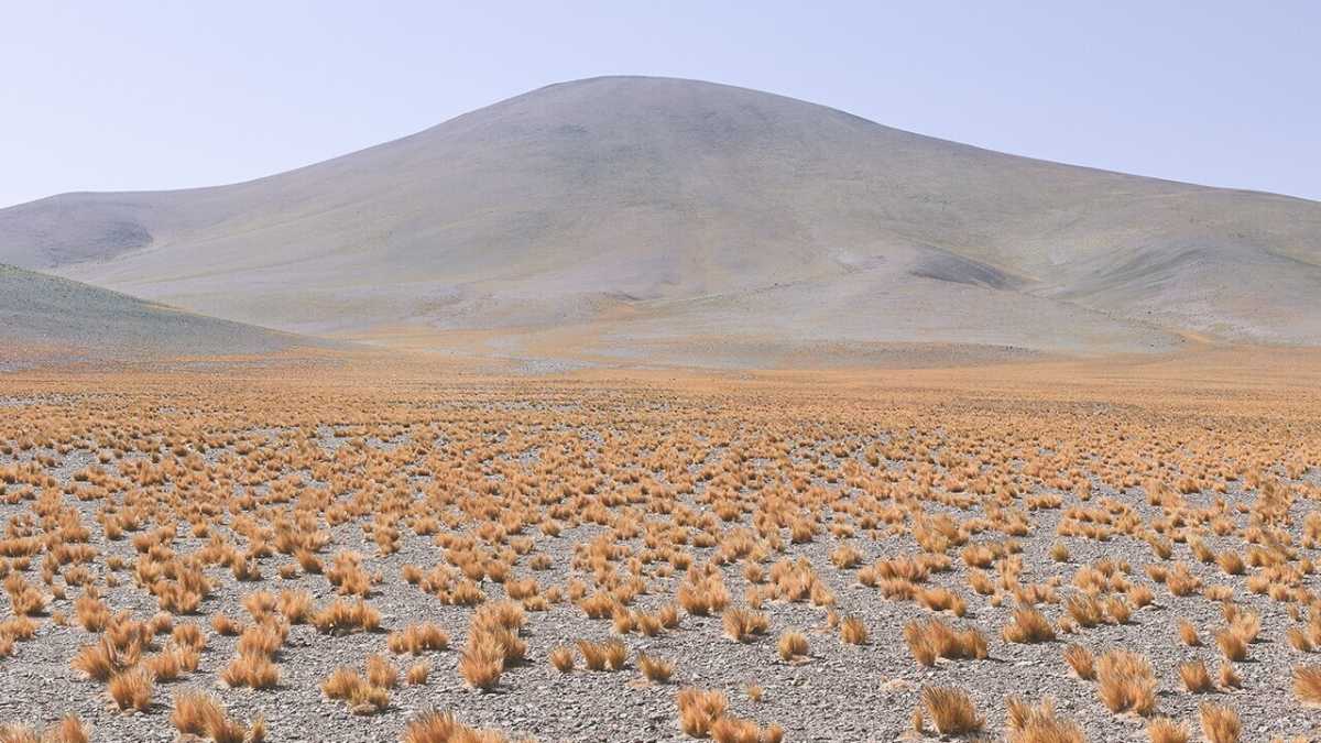 Immagine di Fotografie di confini che nascono, mutano e scompaiono da un giorno all’altro