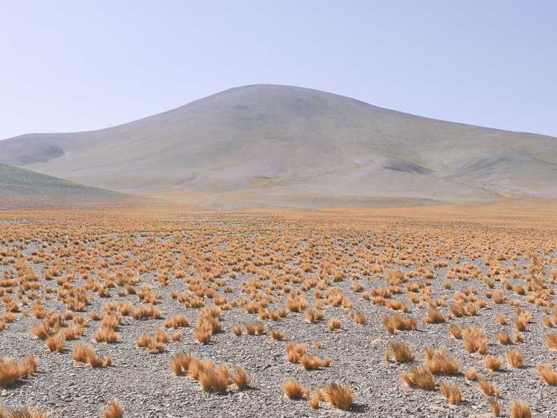 &copy; Roger Eberhard, 24 th Parallel South, Chile, 2018&nbsp;<br />