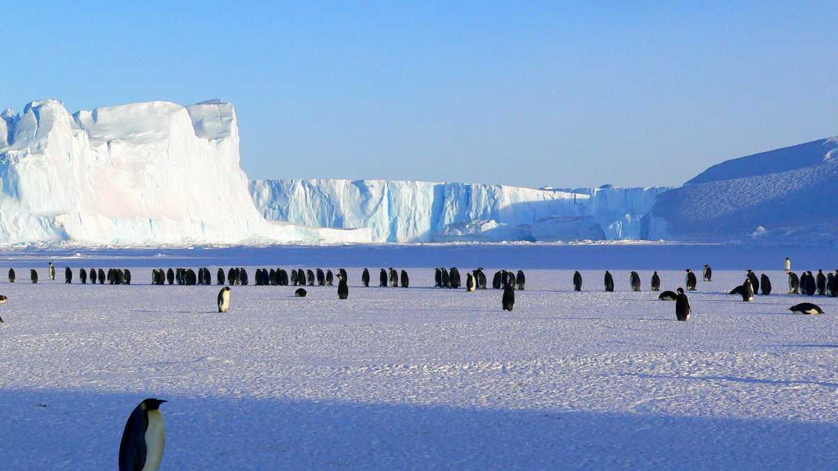 Immagine di La penisola di Larsen e io