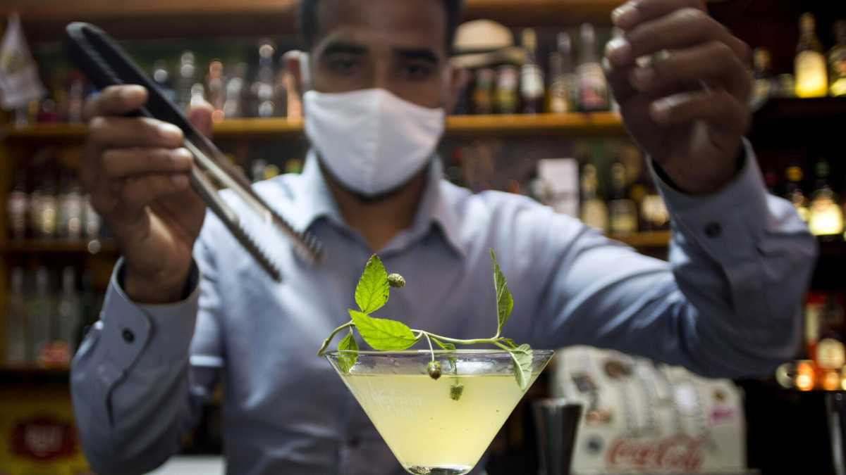 Immagine di Togliete il Martini ai parlamentari di Forza Italia