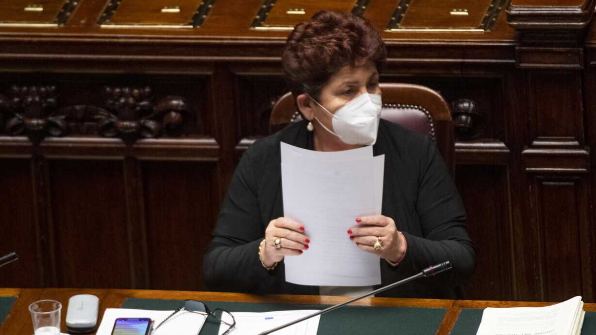 Immagine di Teresa Bellanova: "Attenti! Se il Mes non passa non c'è più maggioranza"