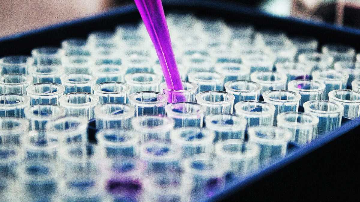 Immagine di Investire su ricerca biomedica e sperimentazione