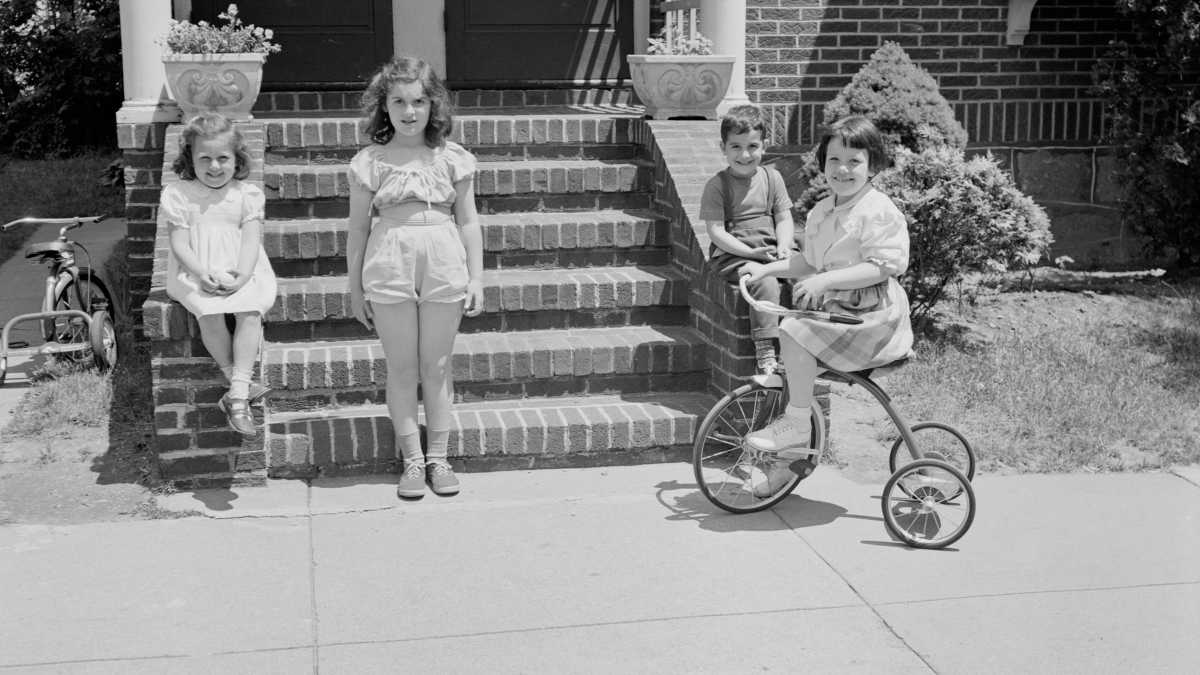 Immagine di Quante femmine