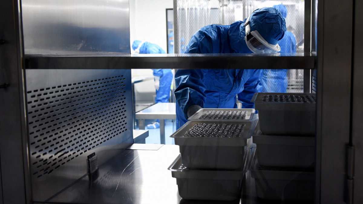 Immagine di Vaccini a singhiozzo
