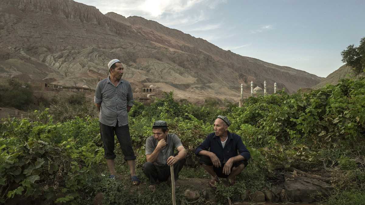 Immagine di La Cina manda gli uiguri nei campi di cotone