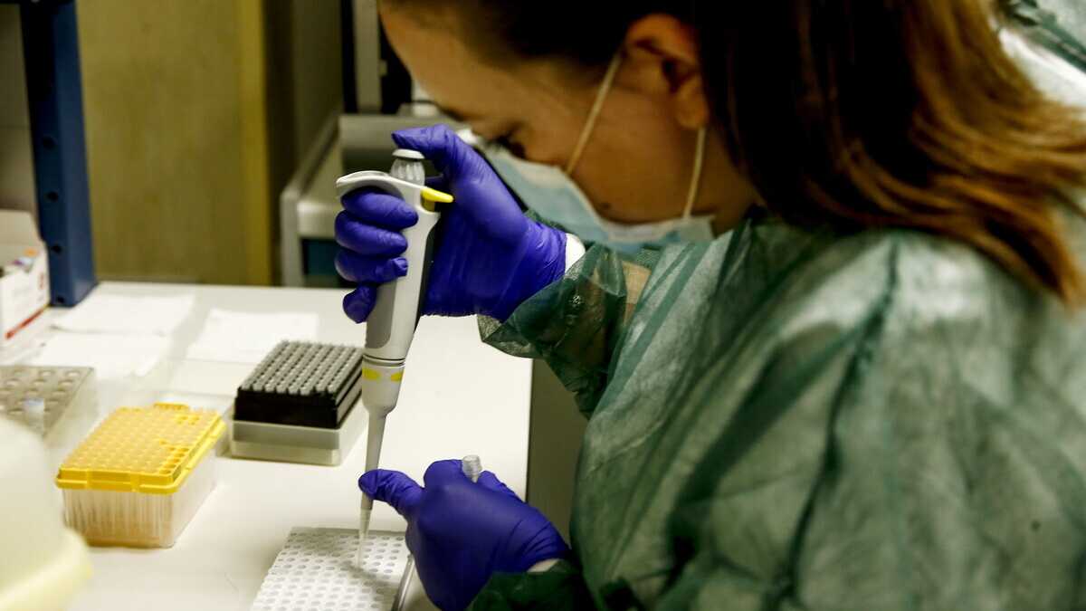 Immagine di La differenza fra Dna e Rna spiegata a chi al bar sproloquia di vaccini anti Covid