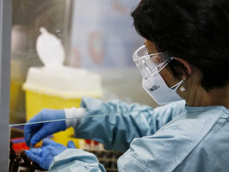 La variante inglese del virus circola già da novembre. Lo studio dell'Ecdc