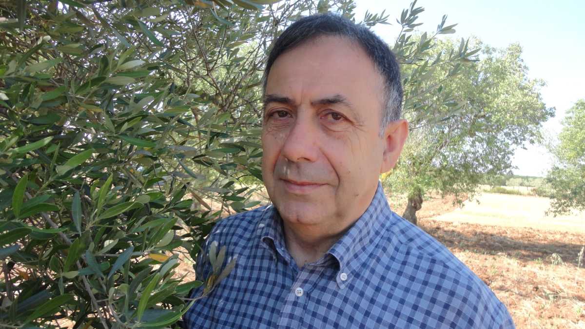 Immagine di Da "untore" a simbolo della scienza su Xylella. Premiato Boscia