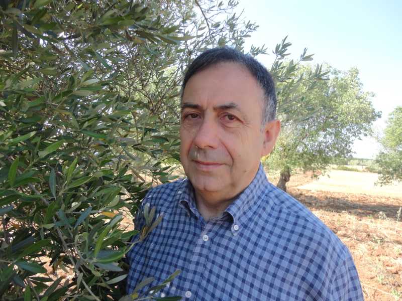 Da "untore" a simbolo della scienza su Xylella. Premiato Boscia