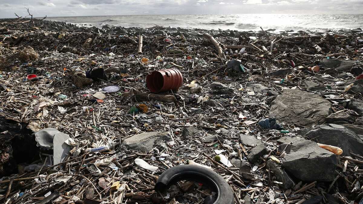 Immagine di Fiumicino tra fogna e realtà