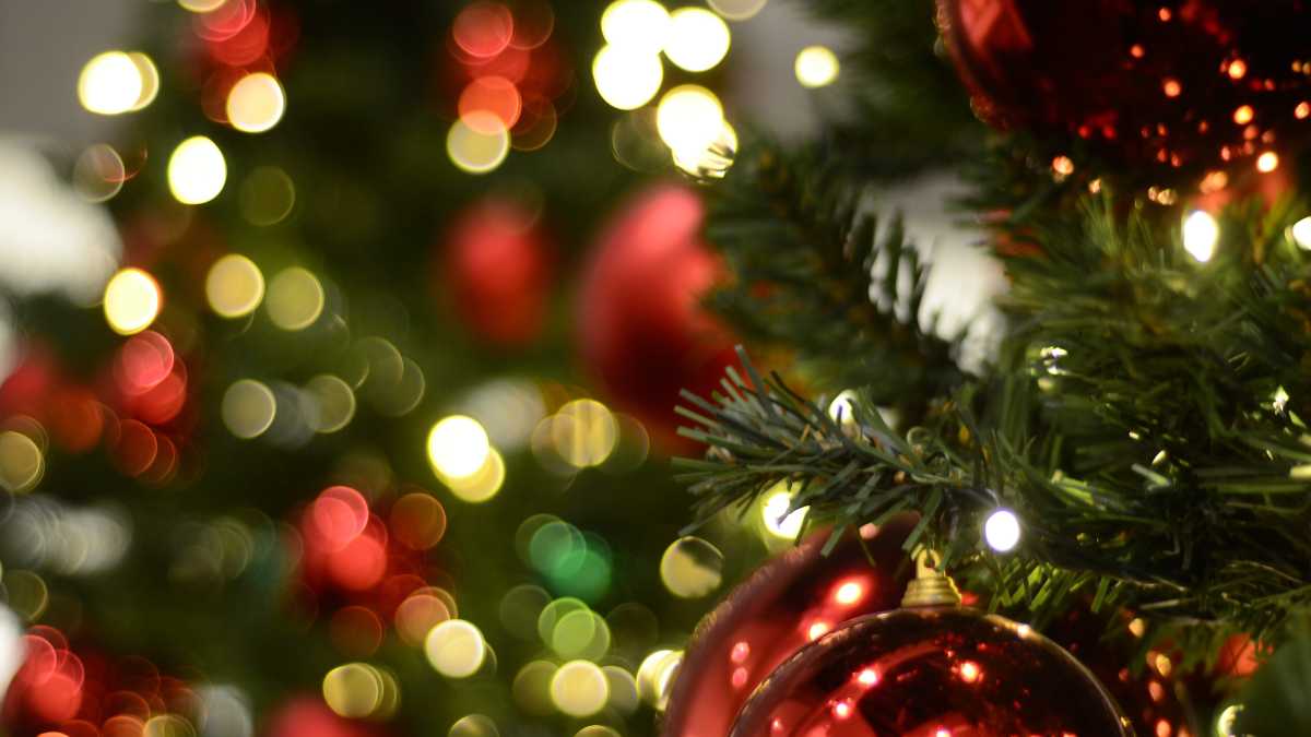 Immagine di Vichingo in pelliccia, albero di Natale traballante e altre fragilità