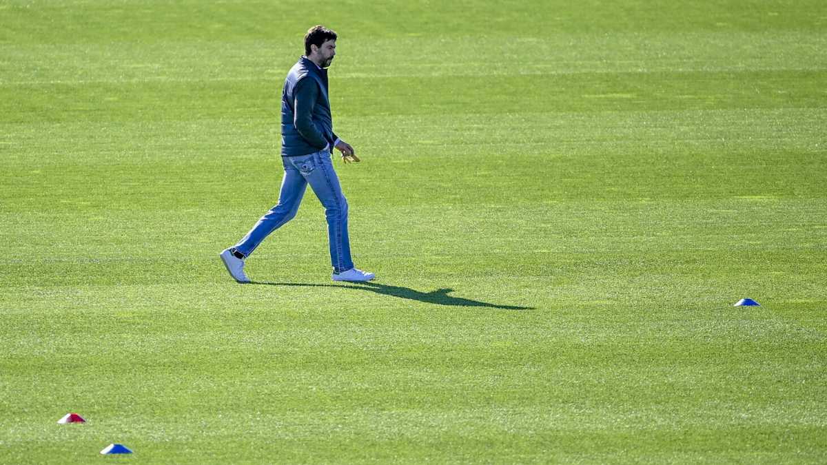 Immagine di Gli esperti ci dicano se la palla è rotonda