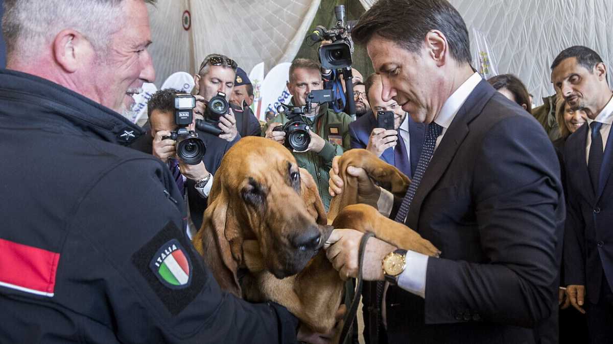 Immagine di Una pandemia da cani