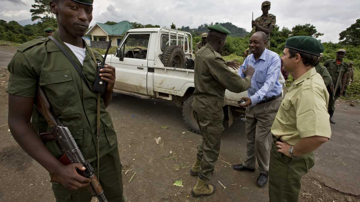 Immagine di Gorilla e ranger, minacciati insieme di estinzione