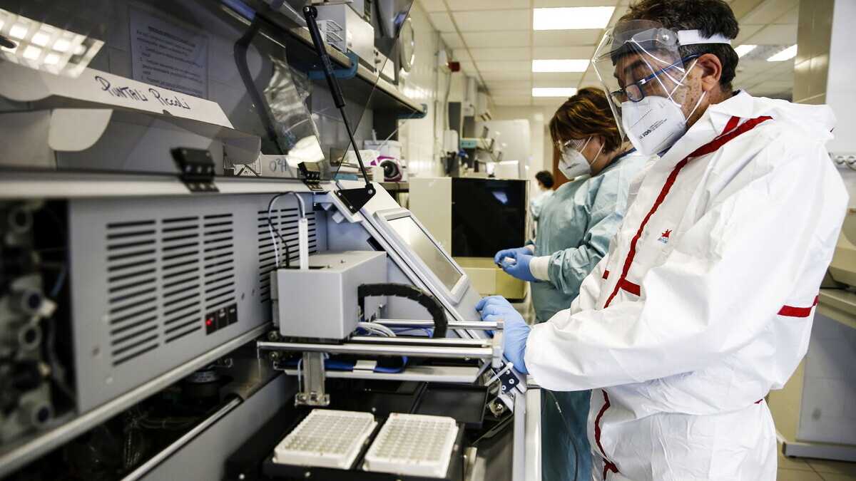 Immagine di Covid, così varianti così simili