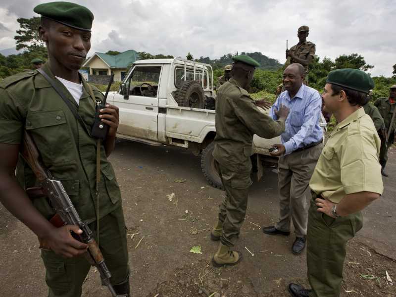 Foto di Brent Stirton / Getty Images <br />